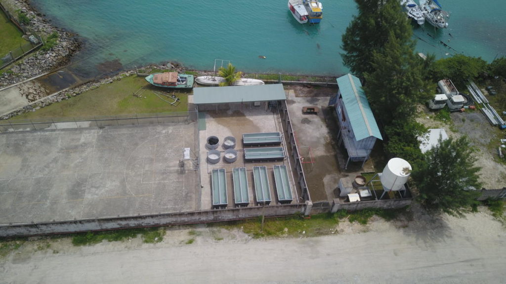 Sea Urchin Facility 4