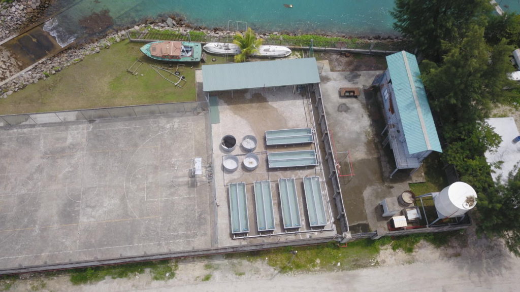 Sea Urchin Facility 5