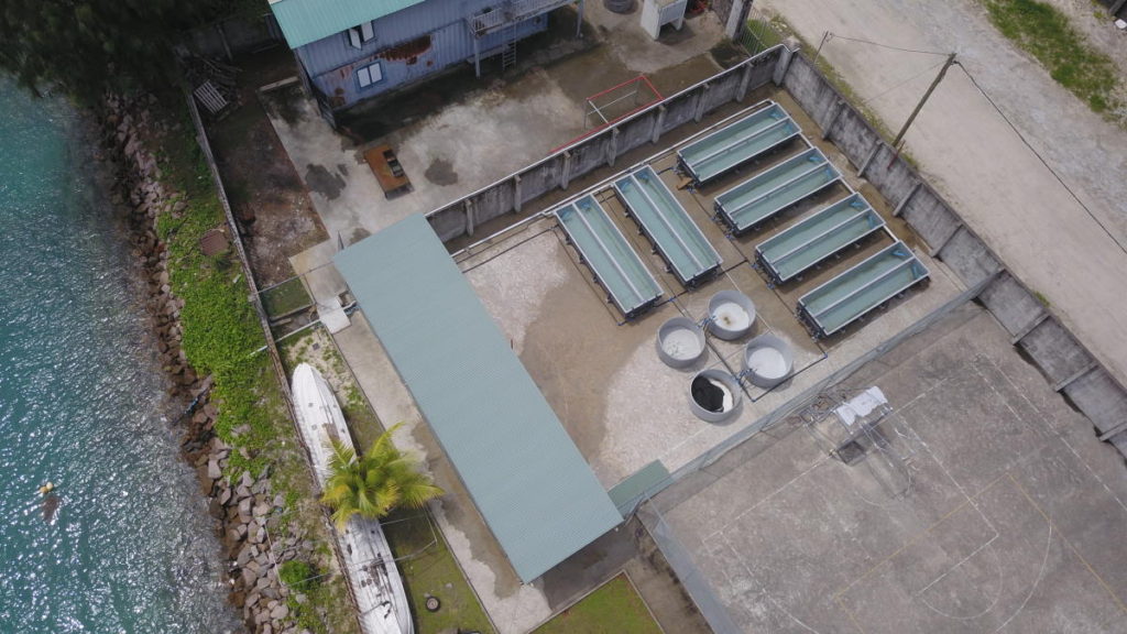 Sea Urchin Facility 2