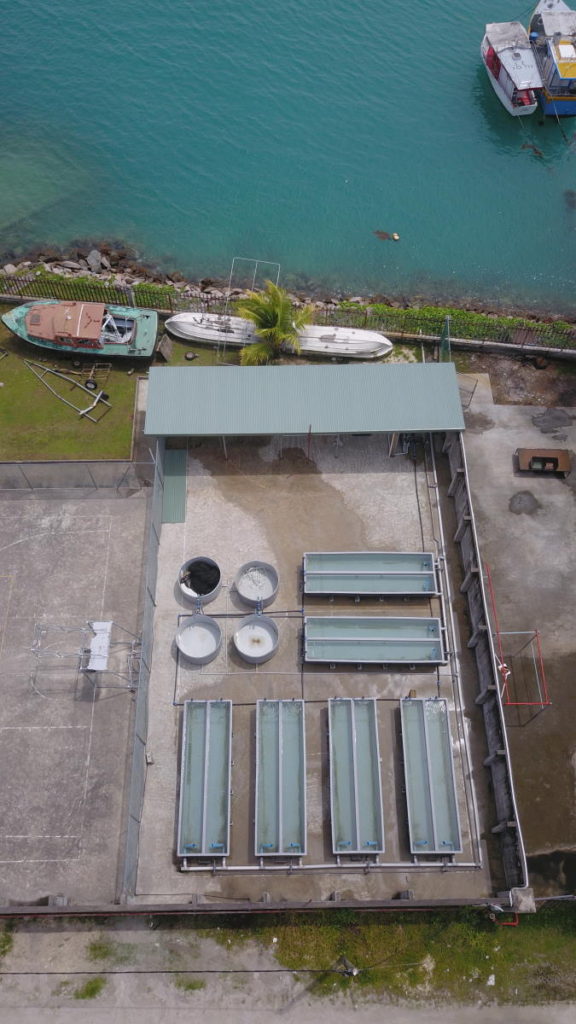 Sea Urchin Facility 1