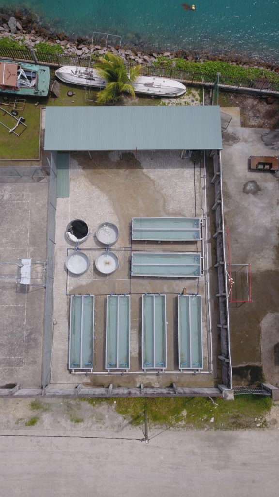 Sea Urchin Facility 3