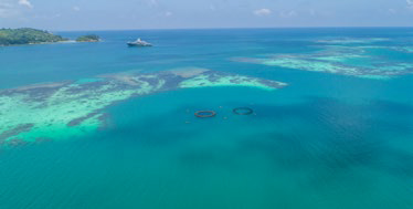 Seychelles Aquaculture