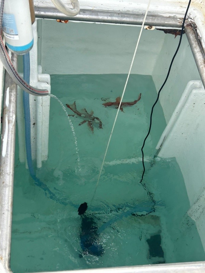 On-board vessel holding tank