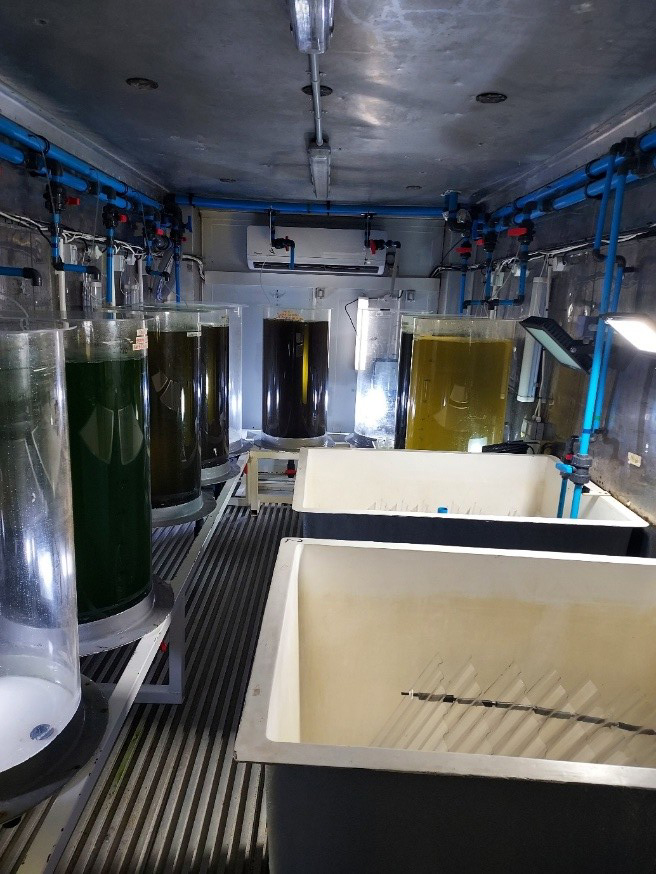 200 litre cylinders filled to 180 litres